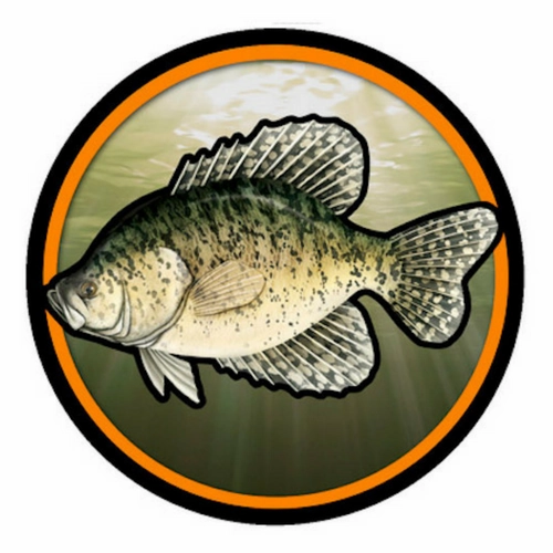 Advanced Graphics Inc. Tumbler Decals
