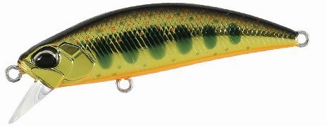 Duo Realis Spearhead Ryuki 50S