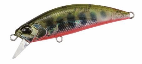 Duo Realis spearhead Ryuki Awabi