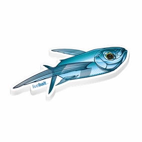 Flying Fish Sticker
