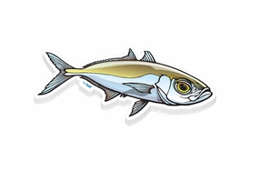 Goggle Eye Sticker