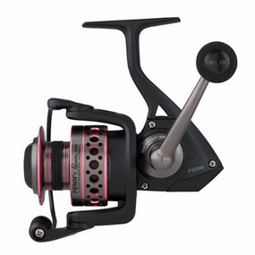 Penn Passion Spinning Reels