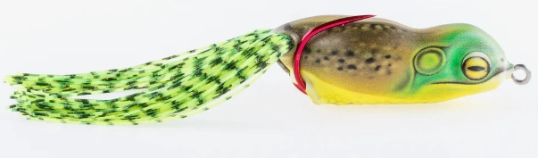 Scum Frog Launch Series