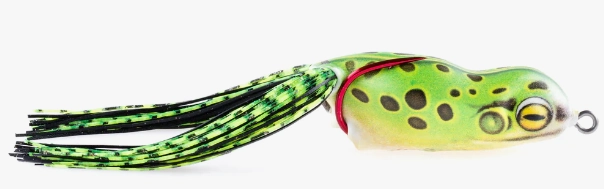Scum Frog Launch Series