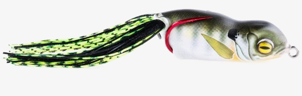 Scum Frog Launch Series