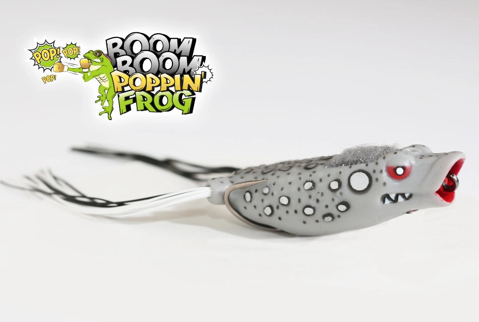 Stanford Boom Boom Poppin - Fred's Frog