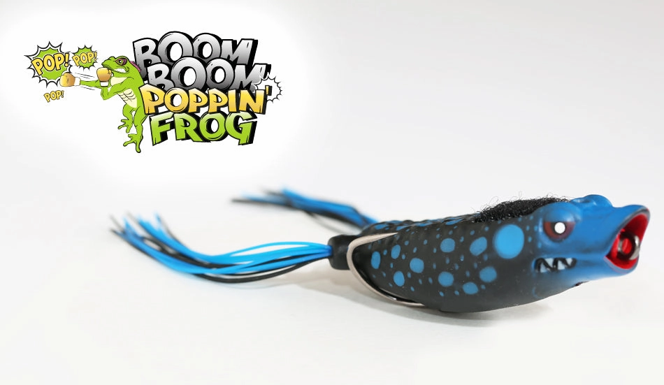 Stanford Boom Boom Poppin - Fred's Frog