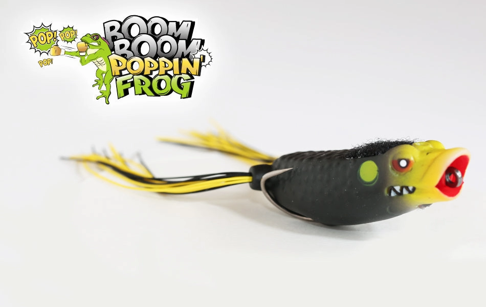 Stanford Boom Boom Poppin - Fred's Frog