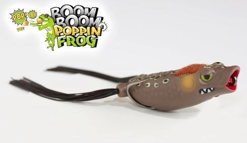 Stanford Boom Boom Poppin - Fred's Frog
