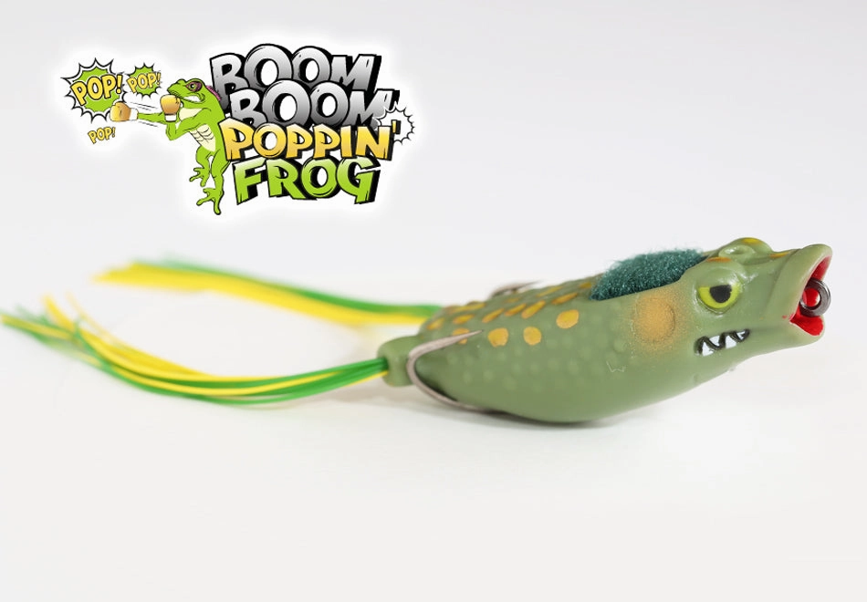 Stanford Boom Boom Poppin - Fred's Frog