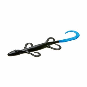 Zoom 6 Lizard