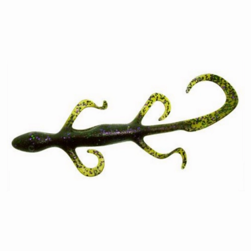 Zoom 6 Lizard